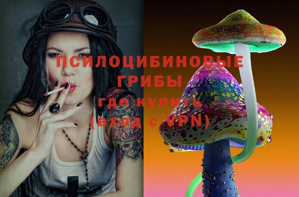 PSILOCYBIN Балабаново